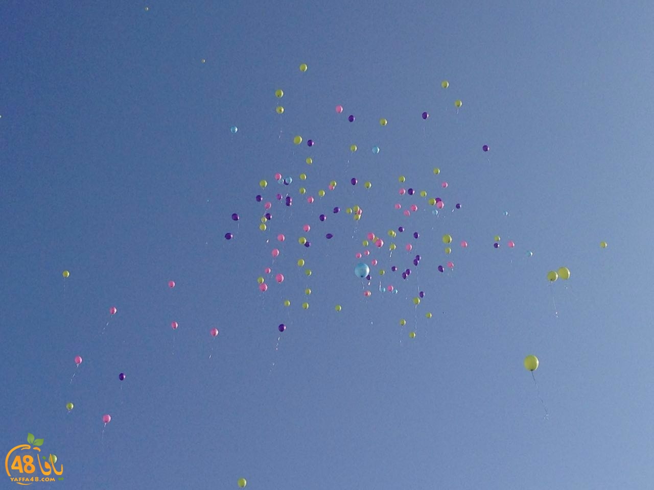 okhowa ifteta73 (18).jpg